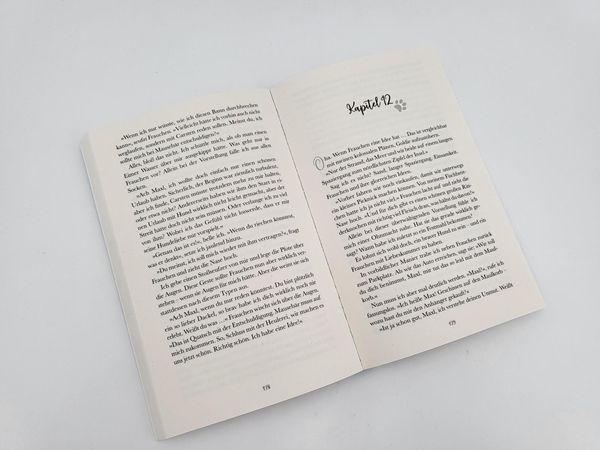 Produktbild: Pfotengl&uuml;ck &ndash; Dackel Max sucht seine gro&szlig;e Liebe