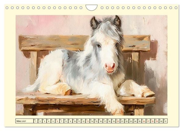 Produktbild: Zauberhafte Ponys. Kleine Pferdchen in lieblicher &Ouml;loptik (Wandkalender 2027 DIN A4 quer), CALVENDO Monatskalender