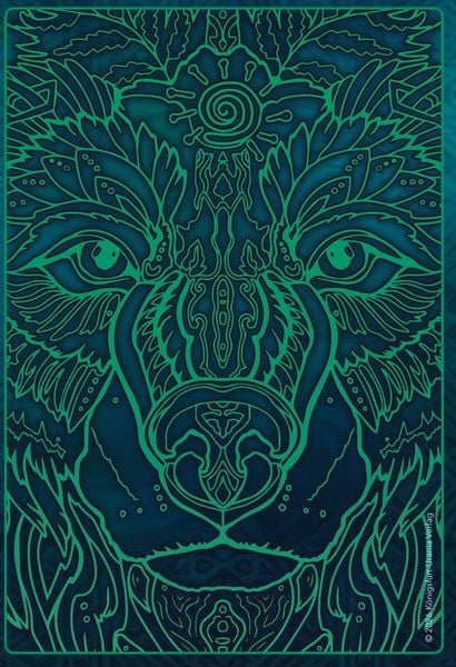 Produktbild: Echoes of the Wild Souls - Krafttiere aus den slawischen W&auml;ldern und nordischen Weiten (Orakelkarten - Krafttierkarten)