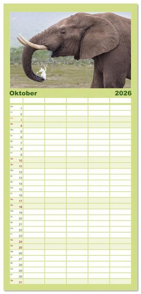 Produktbild: Familienplaner 2026 - Elefanten Begegnungen im &ouml;stlichen und s&uuml;dlichen Afrika mit 5 Spalten (Wandkalender, 21 x 45 cm) CALVENDO