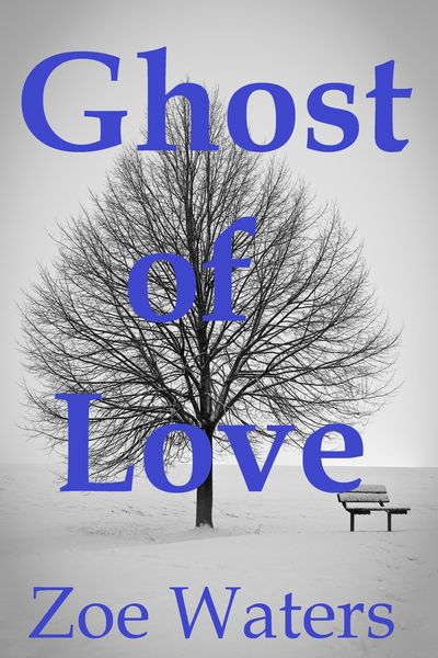 Produktbild: Ghost of Love: Life After Death Erotica