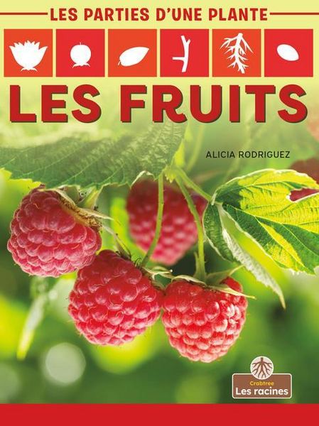 Produktbild: Les Fruits (Fruits)