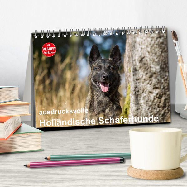 Produktbild: ausdrucksvolle Holl&auml;ndische Sch&auml;ferhunde (Tischkalender 2026 DIN A5 quer), CALVENDO Monatskalender