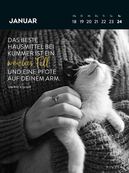 Produktbild: Wochenkalender 2027: Goldene Katzenweisheiten f&uuml;r jeden Tag