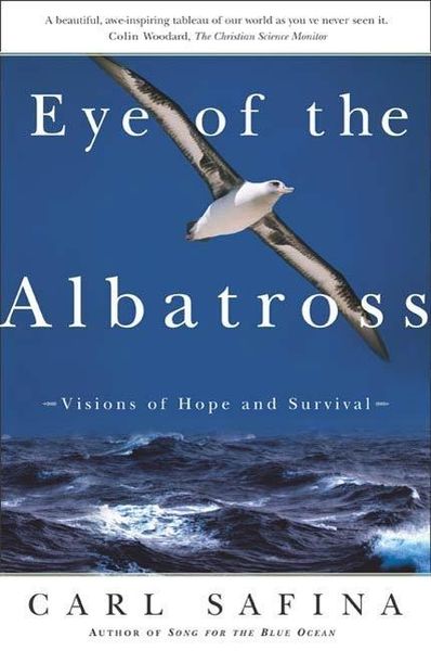 Produktbild: Eye of the Albatross