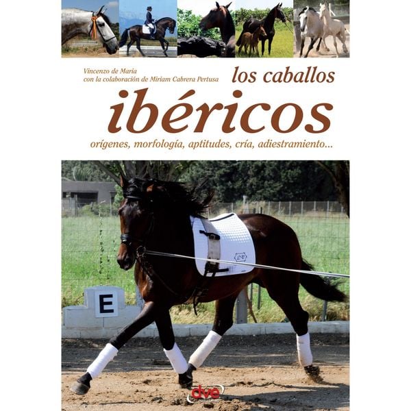Los caballos ibéricos - Vincenzo De Maria, Audio, 9798894057569