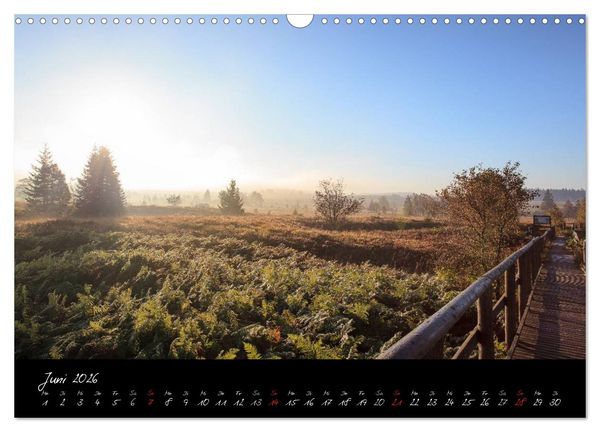 Produktbild: Hochmoor Hohes Venn (Wandkalender 2026 DIN A3 quer), CALVENDO Monatskalender