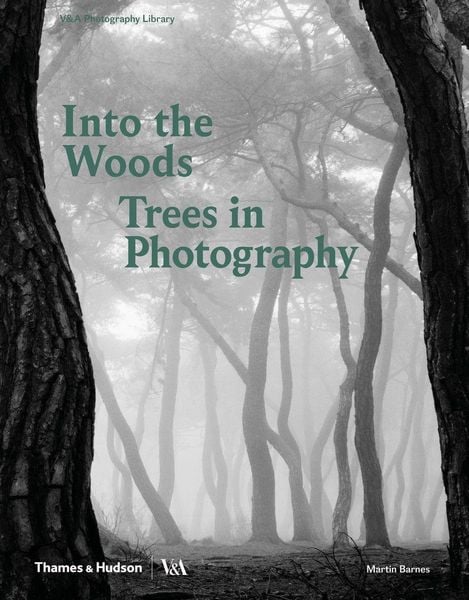 Produktbild: Into the Woods