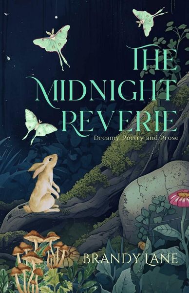 Produktbild: The Midnight Reverie