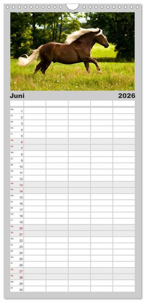 Produktbild: Familienplaner 2026 - Faszination und Vielfalt - Schwarzw&auml;lder Kaltblut mit 5 Spalten (Wandkalender, 21 x 45 cm) CALVENDO