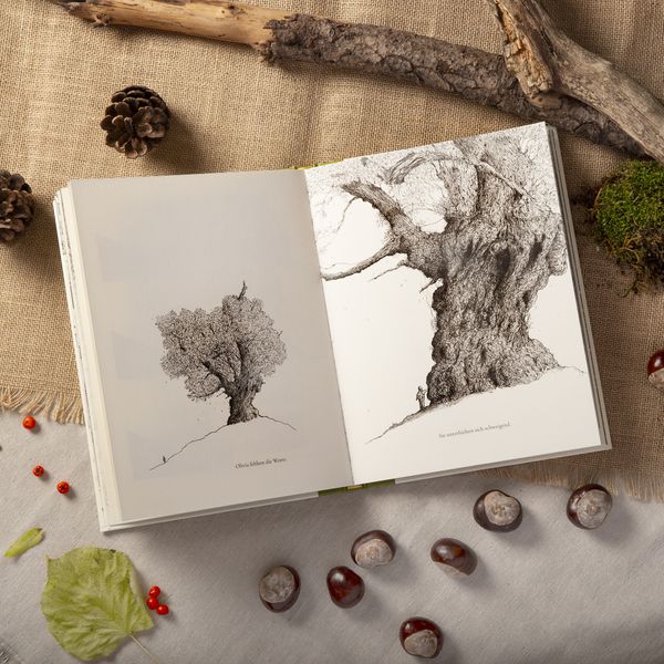 Der letzte Baum