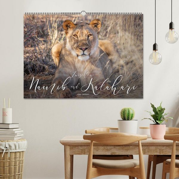 Produktbild: Zwischen Namib und Kalahari (Wandkalender 2026 DIN A2 quer), CALVENDO Monatskalender