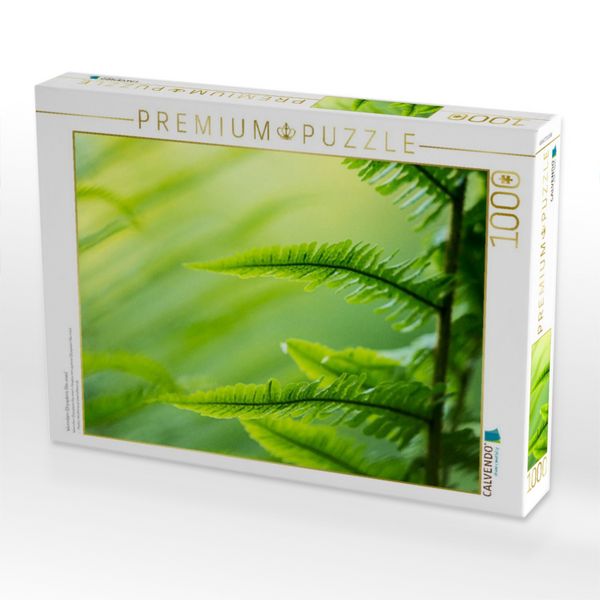 Produktbild: CALVENDO Puzzle Wurmfarn (Dryopteris filix-mas) | 1000 Teile Lege-Gr&ouml;&szlig;e 64x48cm Foto-Puzzle f&uuml;r gl&uuml;ckliche Stunden