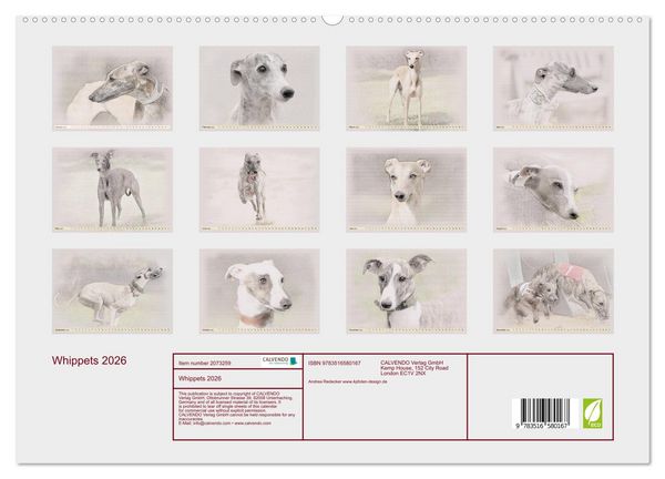 Produktbild: Whippets 2026 (High Quality Premium Wall Calendar 2026 DIN A2 landscape),CALVENDO 12 Month Wall Calendar