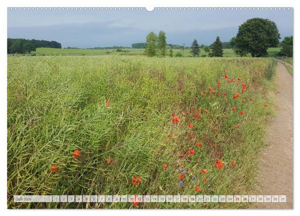 Produktbild: Natur-Paradies Mecklenburgische Schweiz (Wandkalender 2026 DIN A2 quer), CALVENDO Monatskalender