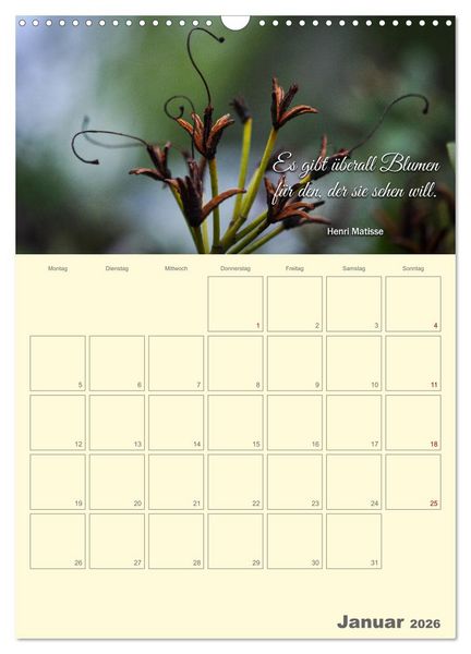 Produktbild: Gartenliebe (Wandkalender 2026 DIN A3 hoch), CALVENDO Monatskalender