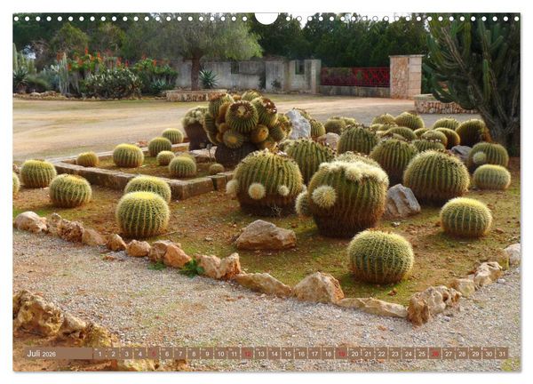 Produktbild: BOTANICACTUS Mallorcas Kakteengarten (Wandkalender 2026 DIN A3 quer), CALVENDO Monatskalender