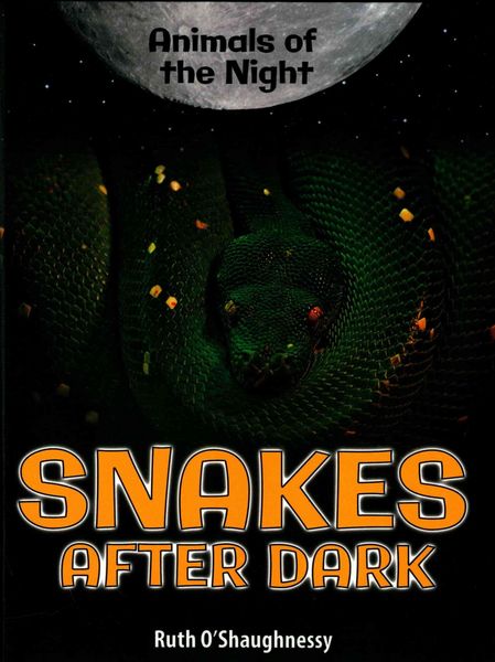 Produktbild: Snakes After Dark