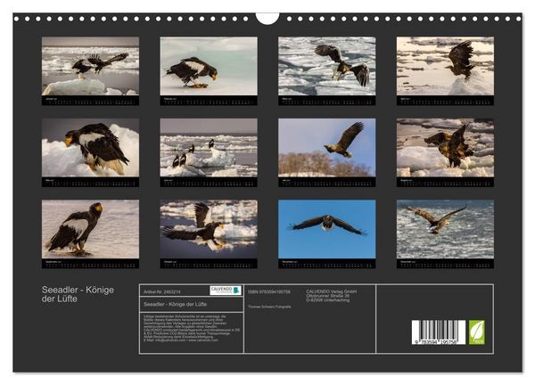 Produktbild: Seeadler - K&ouml;nige der L&uuml;fte (Wandkalender 2027 DIN A3 quer), CALVENDO Monatskalender
