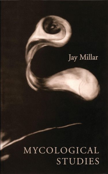 Produktbild: Mycological Studies