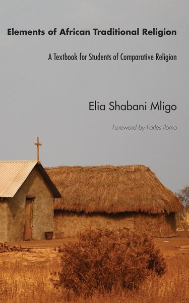 Produktbild: Elements of African Traditional Religion
