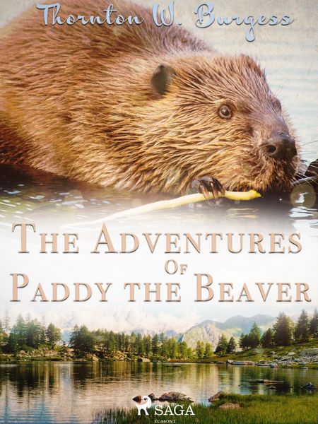 Produktbild: The Adventures of Paddy the Beaver