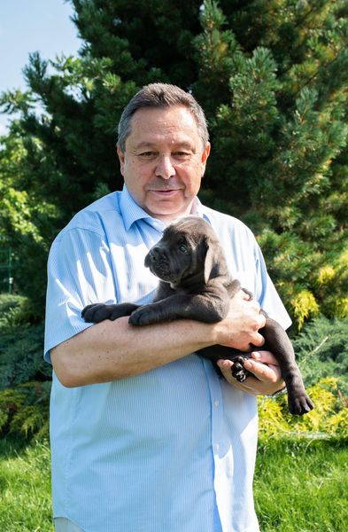 Produktbild: Hundezucht und Welpenerziehung