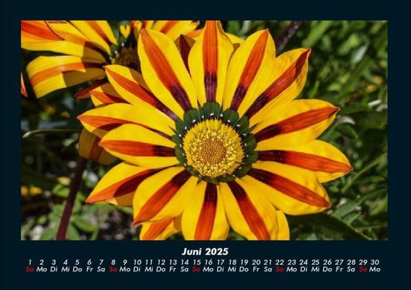 Produktbild: Blumenzauber 2025 Fotokalender DIN A4