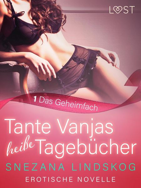 Produktbild: Tante Vanjas hei&szlig;e Tageb&uuml;cher 1: Das Geheimfach - Erotische Novelle