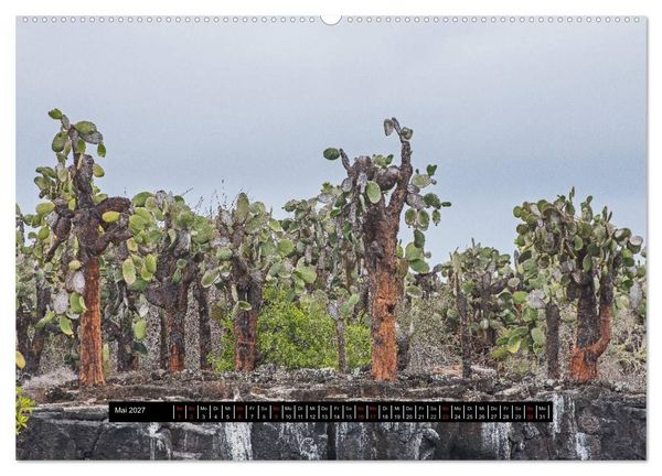 Produktbild: Galapagos- Landschaften (hochwertiger Premium Wandkalender 2027 DIN A2 quer), Kunstdruck in Hochglanz