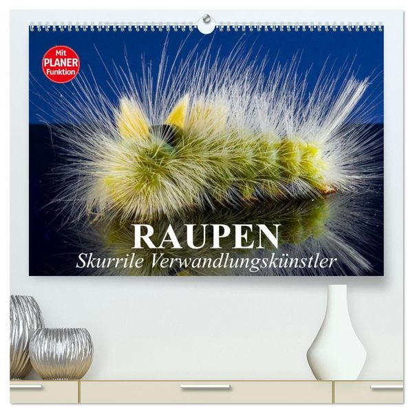 Raupen. Skurrile Verwandlungskünstler (hochwertiger Premium Wandkalender 2026 DIN A2 quer), Kunstdruck in Hochglanz