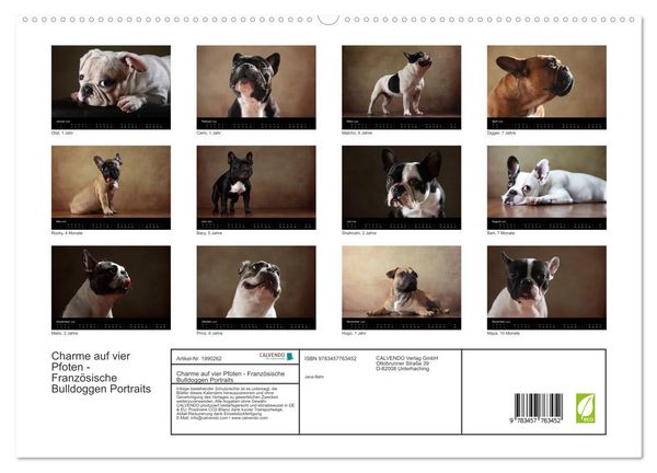 Produktbild: Charme auf vier Pfoten - Franz&ouml;sische Bulldoggen Portraits (hochwertiger Premium Wandkalender 2026 DIN A2 quer), Kunstdruck in Hochglanz