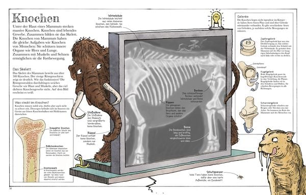 Produktbild: Das Mammut-Buch Naturwissenschaften