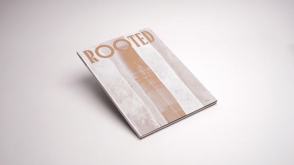 Produktbild: Rooted. Brasilianische K&uuml;nstlerinnen / Female Brazilian Artists