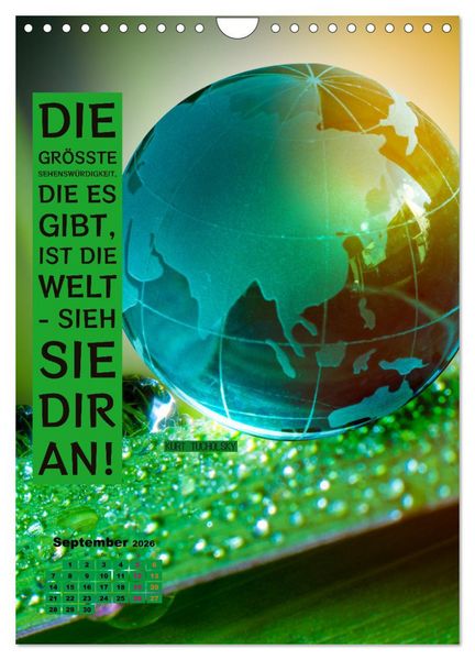 Produktbild: Verr&uuml;ckt nach REISEN Fernweh - Travel - Spr&uuml;che (Wandkalender 2026 DIN A4 hoch), CALVENDO Monatskalender