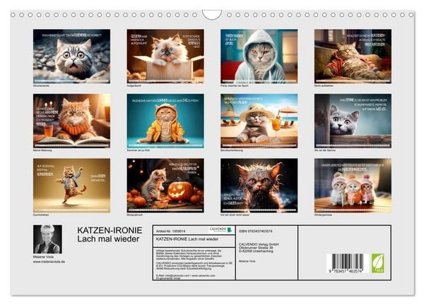 Produktbild: KATZEN-IRONIE Lach mal wieder (Wandkalender 2026 DIN A3 quer), CALVENDO Monatskalender
