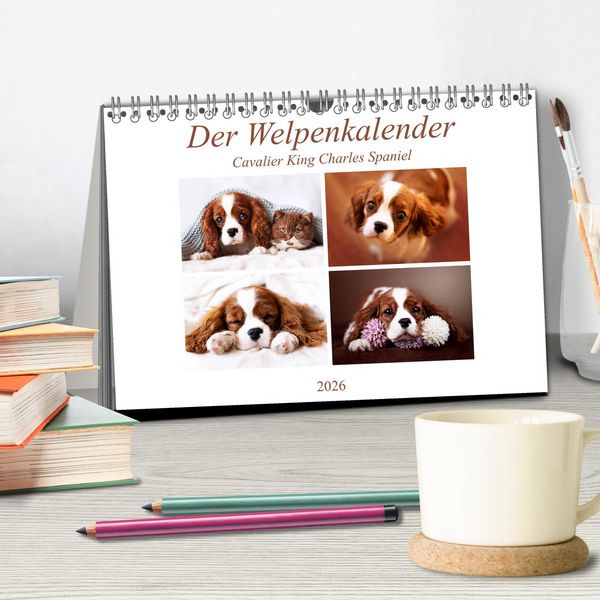 Produktbild: Der Welpenkalender - Cavalier King Charles Spaniel (Tischkalender 2026 DIN A5 quer), CALVENDO Monatskalender