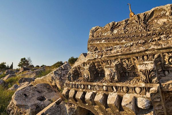 Produktbild: Cats Of Ephesos