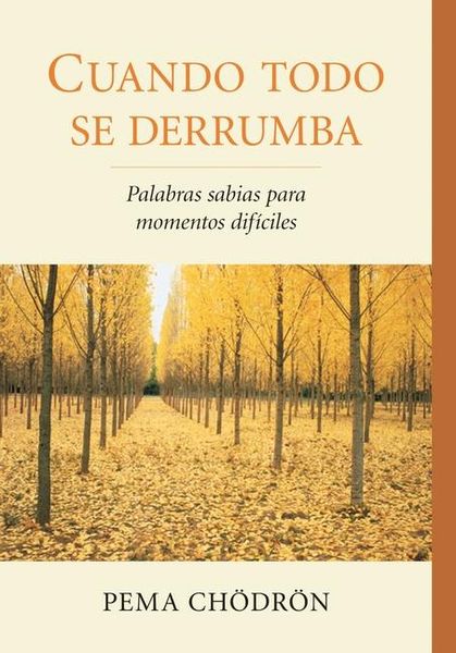 Produktbild: Cuando Todo Se Derrumba (When Things Fall Apart)
