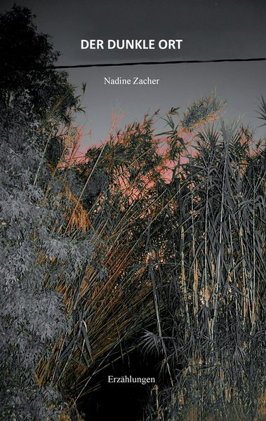 Der dunkle Ort, Taschenbuch von Nadine Zacher, BoD – Books on Demand, 9783741273162