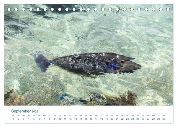 Produktbild: S&uuml;dsee-Insel Huahine - Paradies am Ende der Welt (Tischkalender 2026 DIN A5 quer), CALVENDO Monatskalender