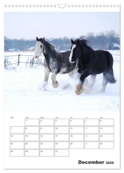 Produktbild: Shire Horses The Gentle Giants (Wall Calendar 2026 DIN A3 portrait), CALVENDO 12 Month Wall Calendar