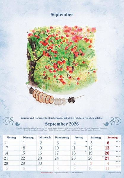 Produktbild: 100-jähriger Kalender 2026 - Bildkalender 23,7x34 cm - mit Wetterprognosen, Bauernregeln und liebevollen Illustrationen - Wandkalender - Alpha Edition