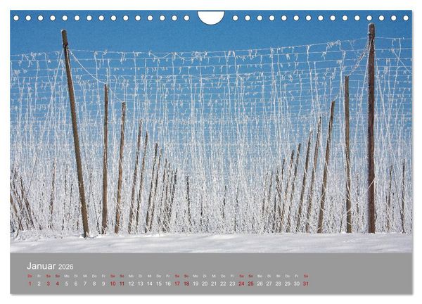 Produktbild: Hallertau (Wandkalender 2026 DIN A4 quer), CALVENDO Monatskalender
