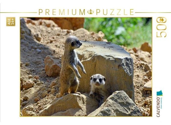CALVENDO Puzzle Ein Motiv aus dem Kalender Erdmännchens Kinderstube | 500 Teile Lege-Größe 48 × 36 cm Foto-Puzzle für Erwachsene