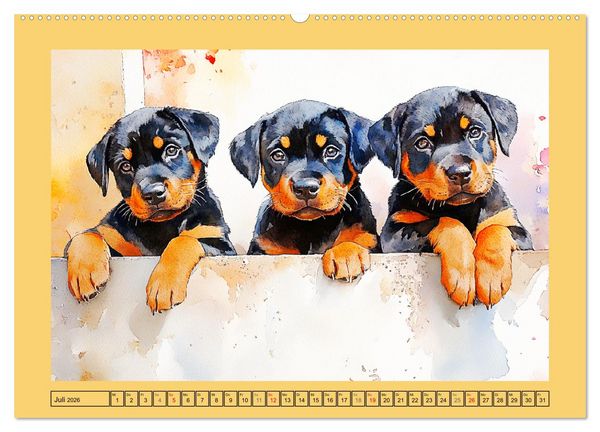 Produktbild: Kraftvolle Rottweiler. Stattliche Begleithunde im Aquarell-Stil (Wandkalender 2026 DIN A2 quer), CALVENDO Monatskalender