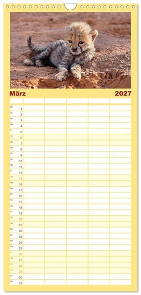 Produktbild: Familienplaner 2027 - Wildes Kinderzimmer - Tierkinder in Afrika mit 5 Spalten (Wandkalender, 21 x 45 cm) CALVENDO