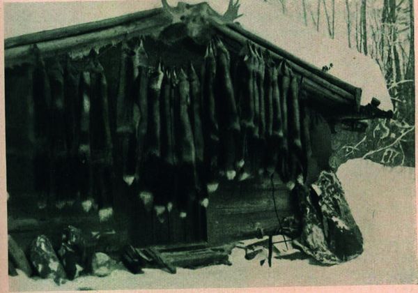 Produktbild: Wildes Kanada