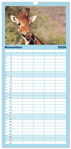 Produktbild: Familienplaner 2026 - Giraffen - Sanftheit und Anmut mit 5 Spalten (Wandkalender, 21 x 45 cm) CALVENDO