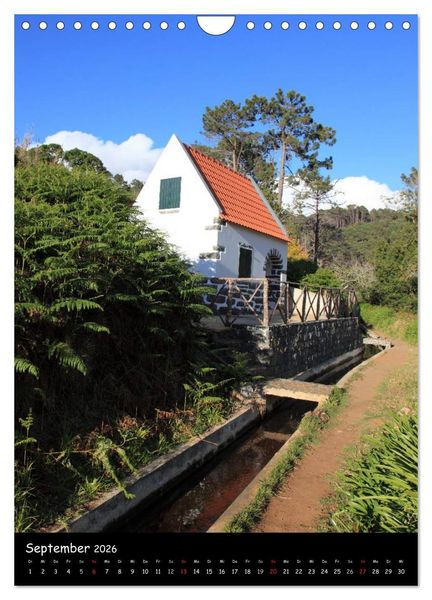 Produktbild: MADEIRA (Wandkalender 2026 DIN A4 hoch), CALVENDO Monatskalender